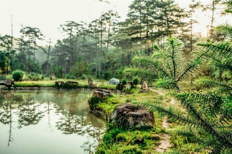 Birding tour in the Da Lat region and Bidoup Nui Ba National Park 4 Days